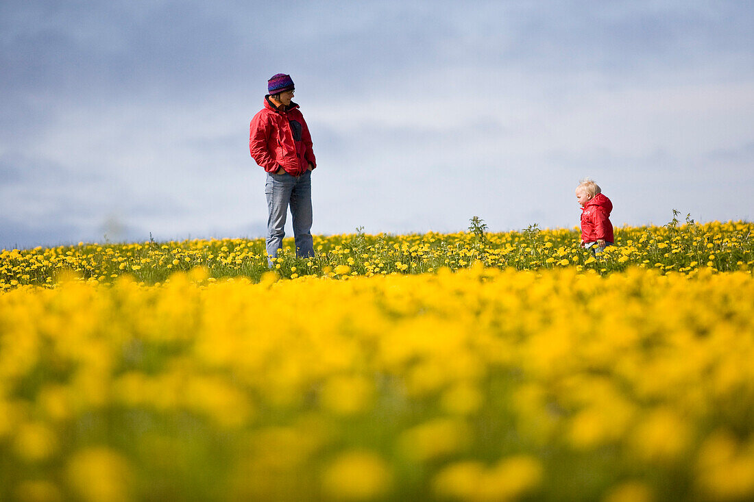 Mutter und Mädchen auf Löwenzahnwiese Bild kaufen 70084155