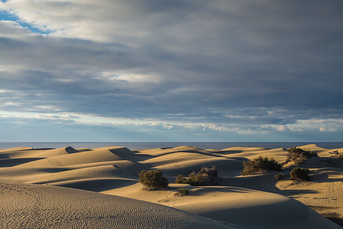 Spain Canary Islands Gran Canaria License Image Lookphotos