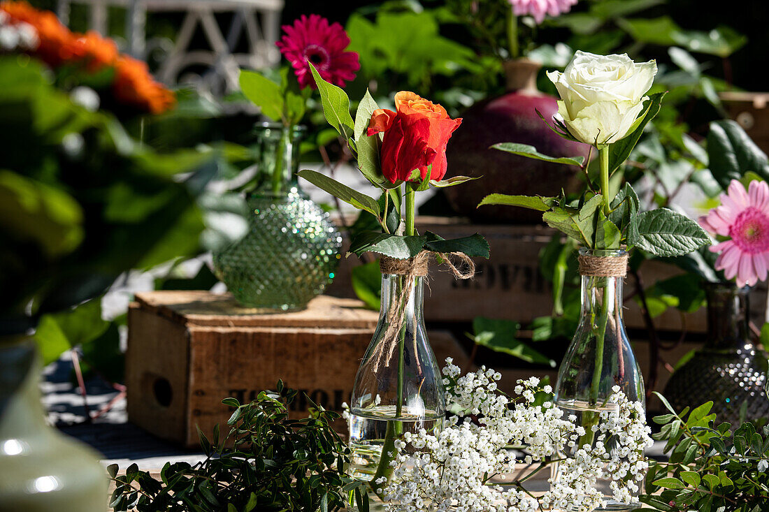 Schnittblumen In Vasen Bild Kaufen Gartenbildagentur