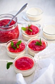 Joghurt Panna Cotta mit Rhabarberkompott