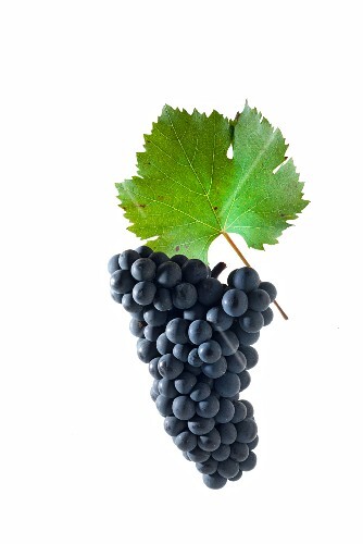 Grape Deutsch Grape Deutsch