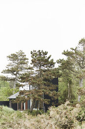 Image no. 12863295