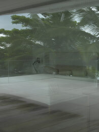 Image no. 12796049