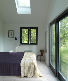 Image no. 12799509