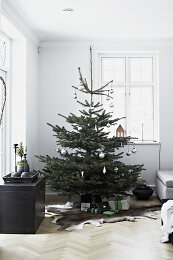 Image no. 12814269