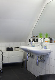Image no. 12817027
