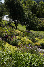 Image no. 13641409