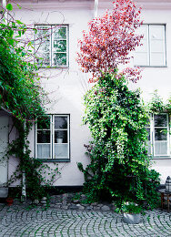 Image no. 13182455