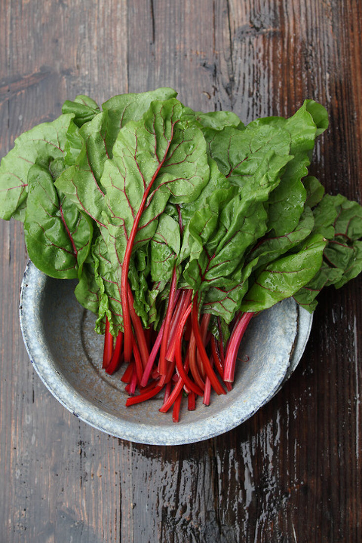 For the Love of Chard