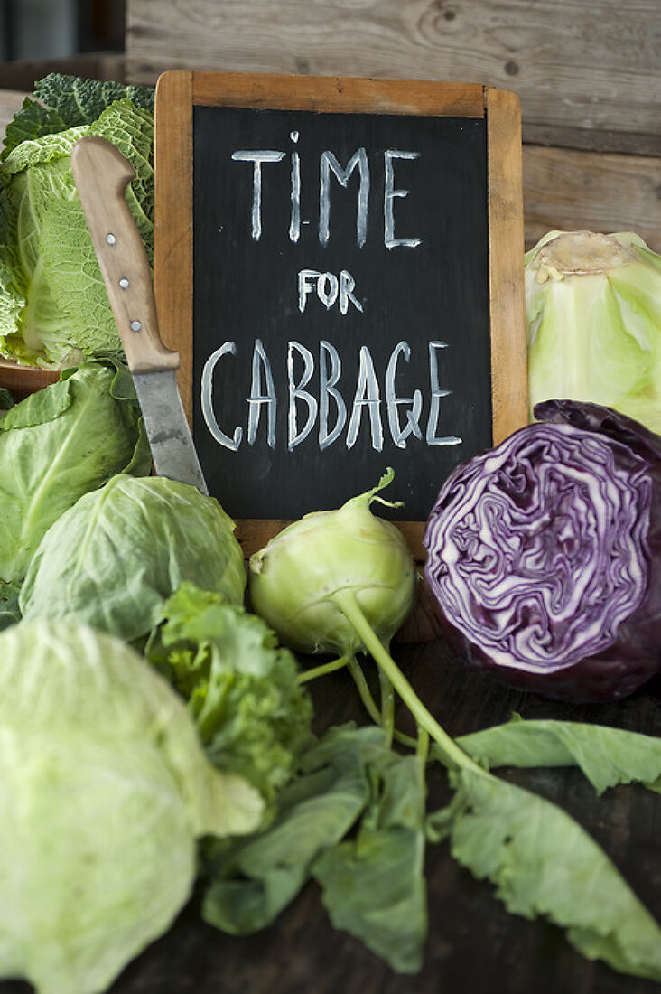 Time for Cabbage