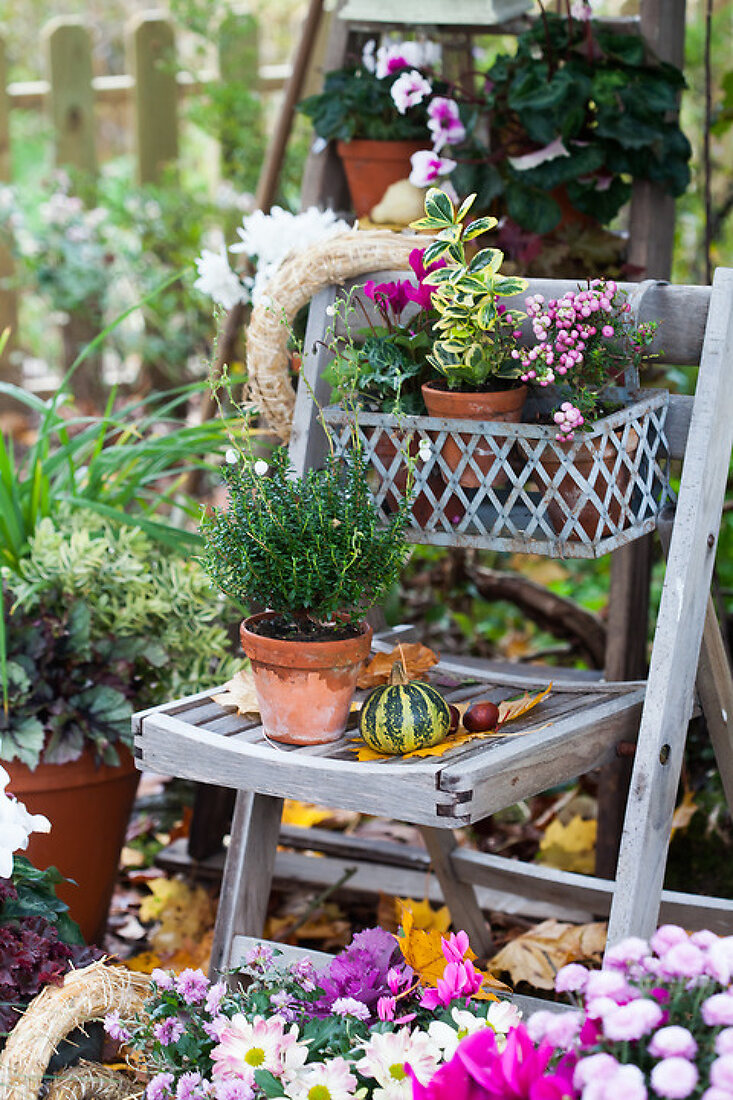 Fall Flower Pots