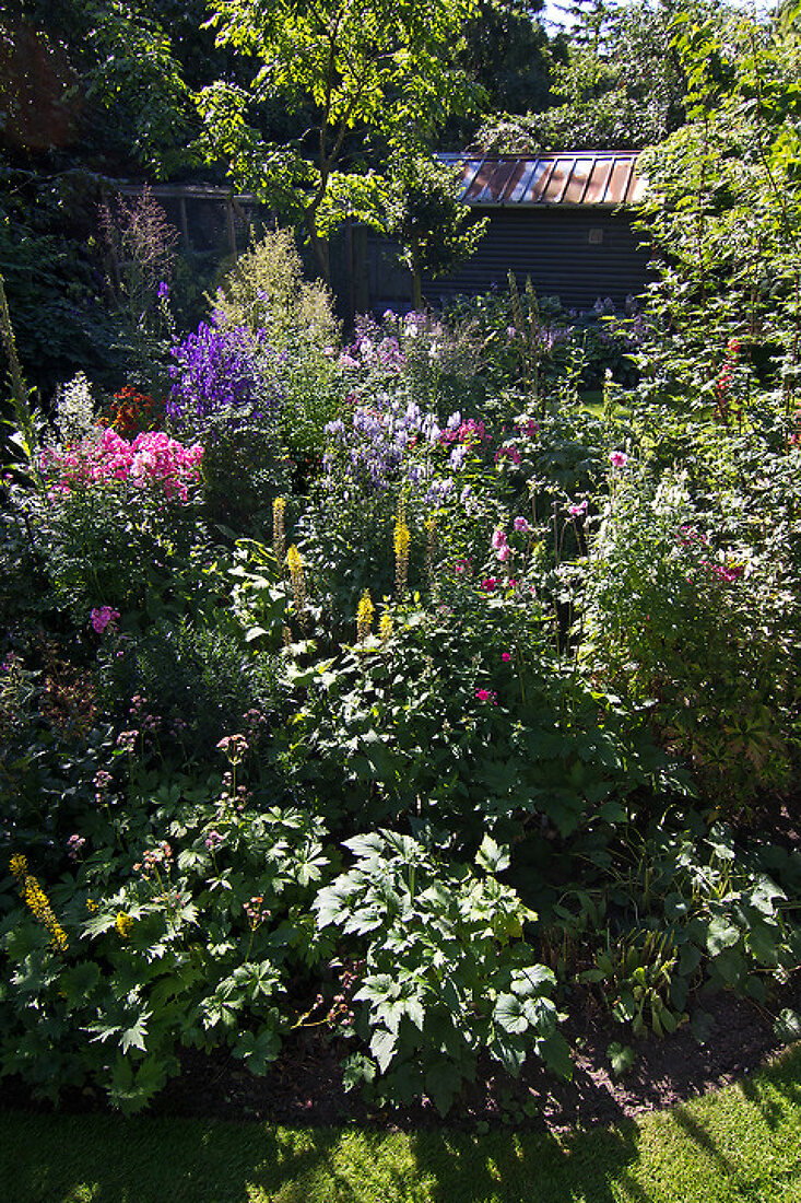 Create a Cutting Garden