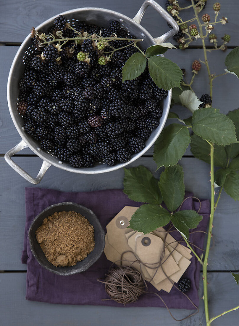 Blackberries-Beautiful and delicious