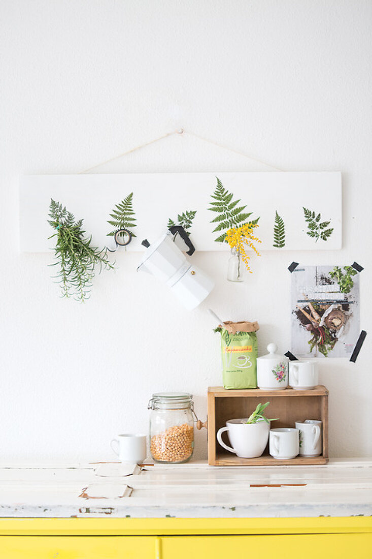 Nature Inspired DIY with Fern