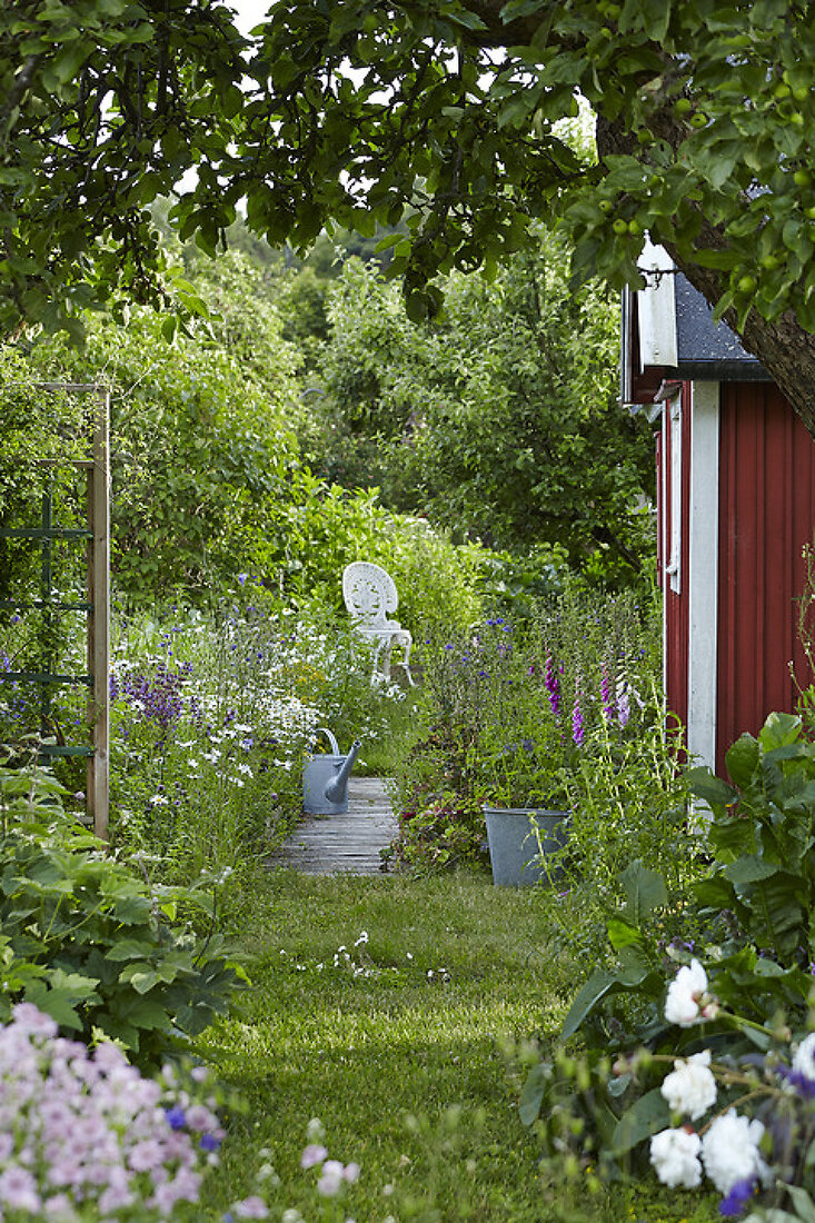 A Peony Garden