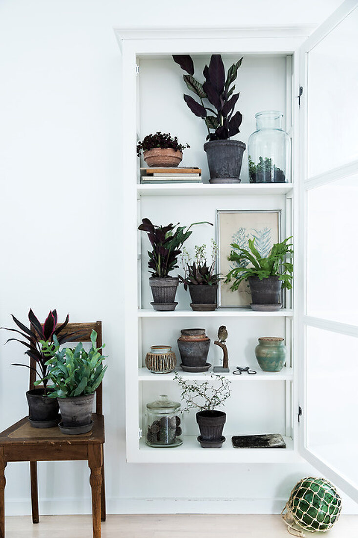 Indoor Plant Decor