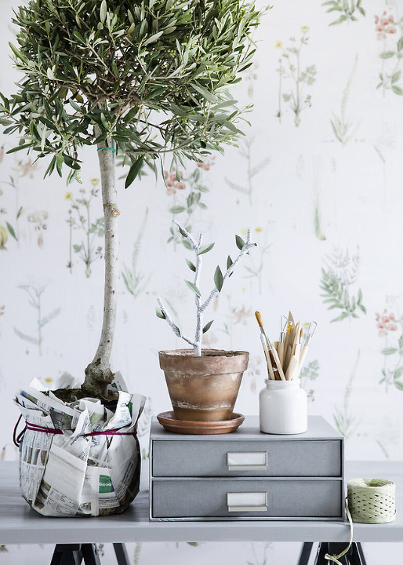 Paper & Plants