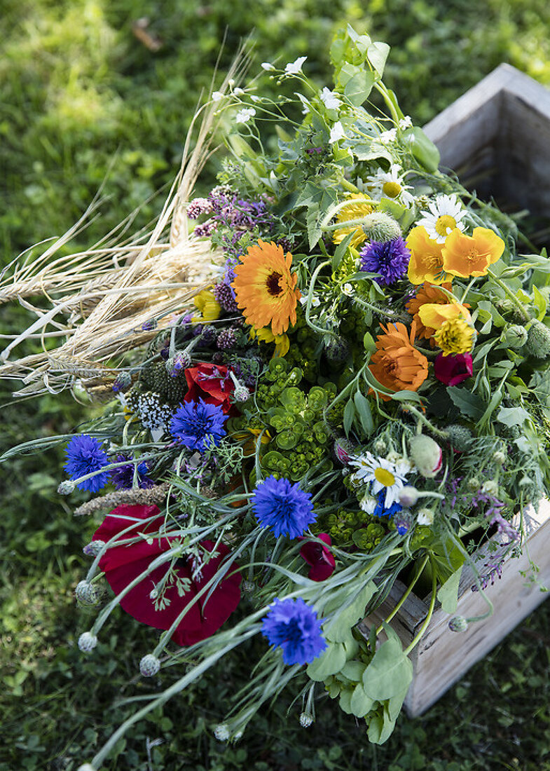 Roadside Flowers