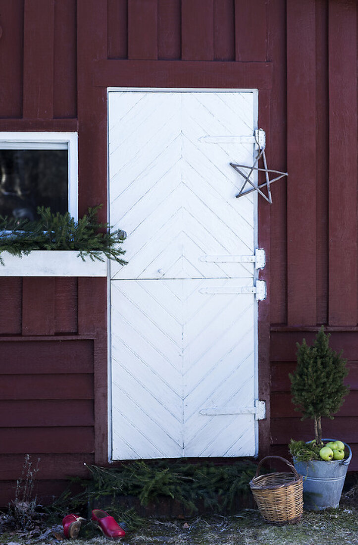 Spruce up Winter