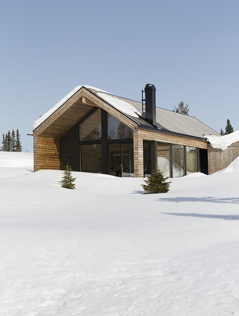Scandinavian Modern Mountain Cabin