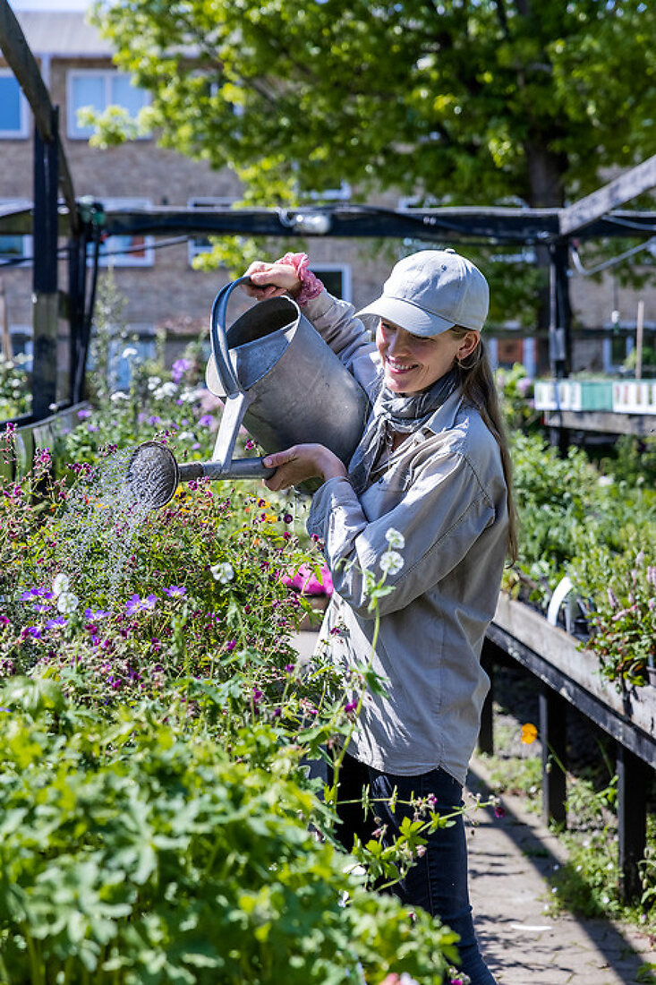 Havero Nursery