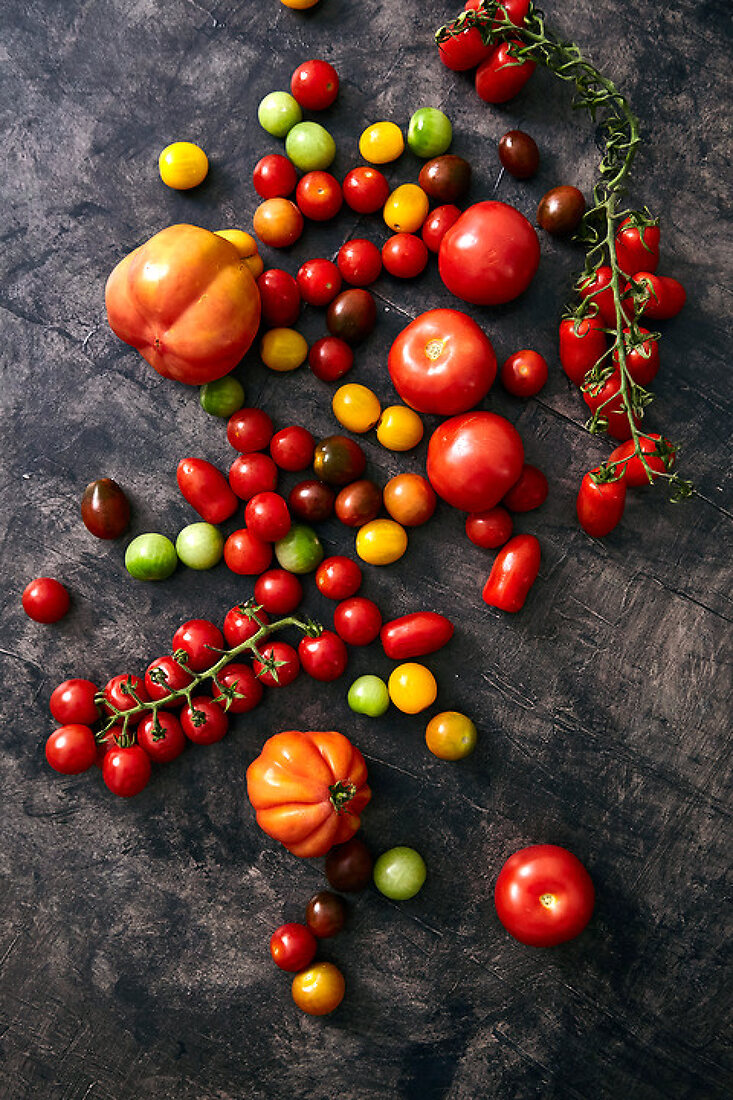 Abundant Tomatoes