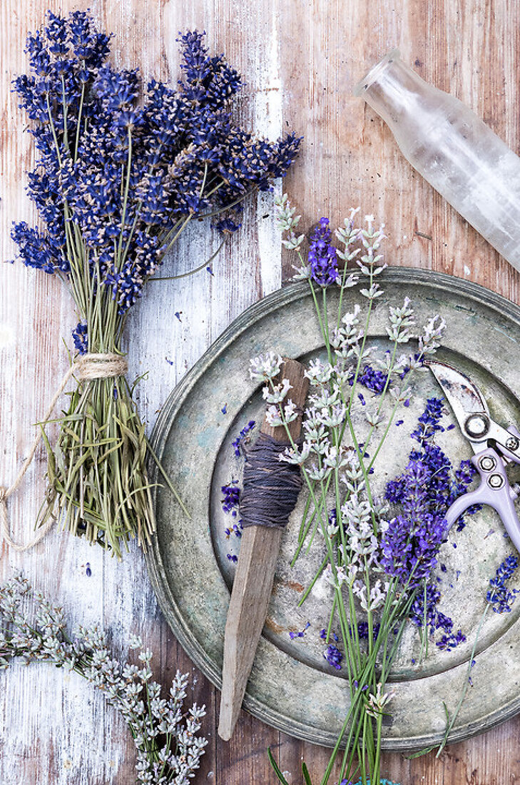 Garden Grown Lavender