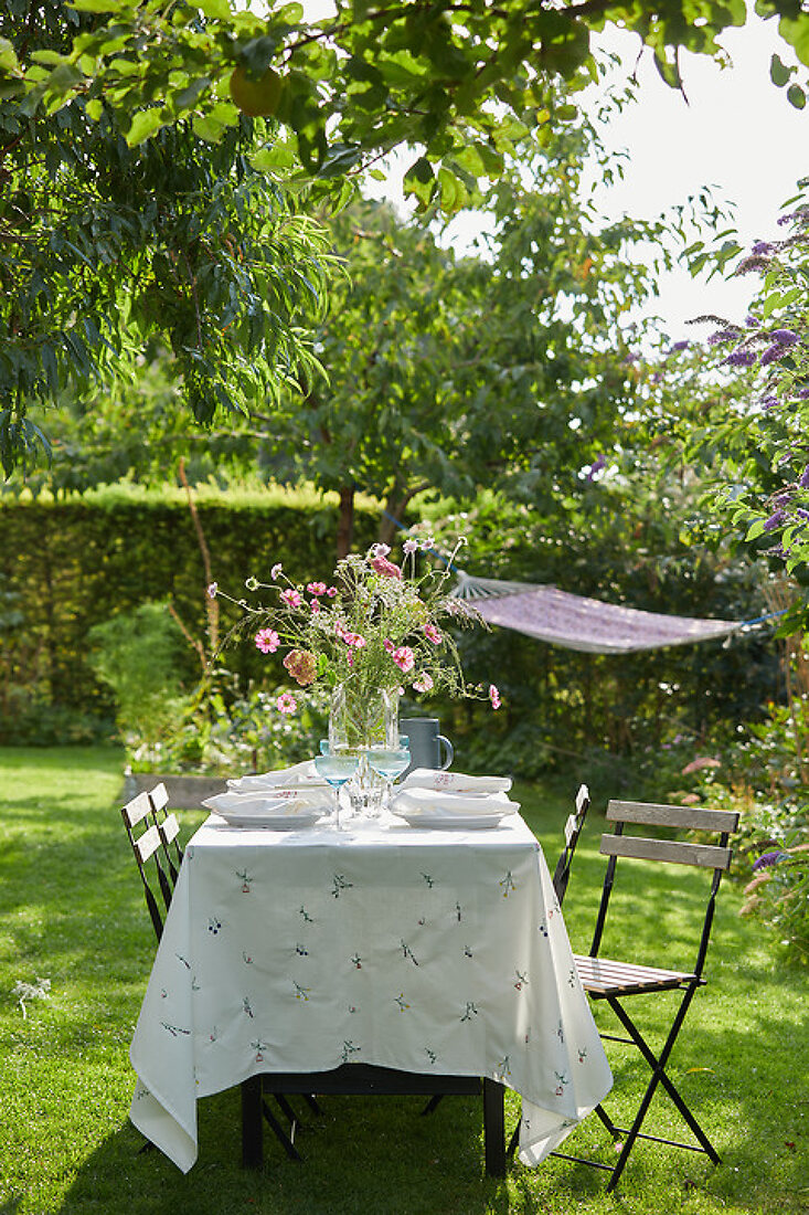 Cosmos: A Timeless Garden Favourite