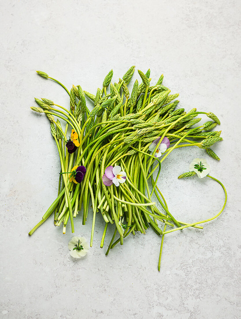 Wild Asparagus - Nature’s Delicate …