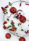 Red Christmas Apples