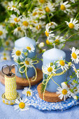 Camomile Fields