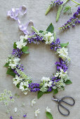 Lupine – Purple Beauty