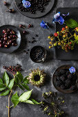 Nature’s Boldest Berries