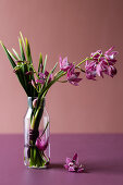 Orchid Chic – Winter Blooms with a Twist