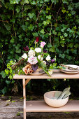 Springtime Magic with a Garden Full of Tulips