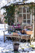 A Gentle Prelude to Spring