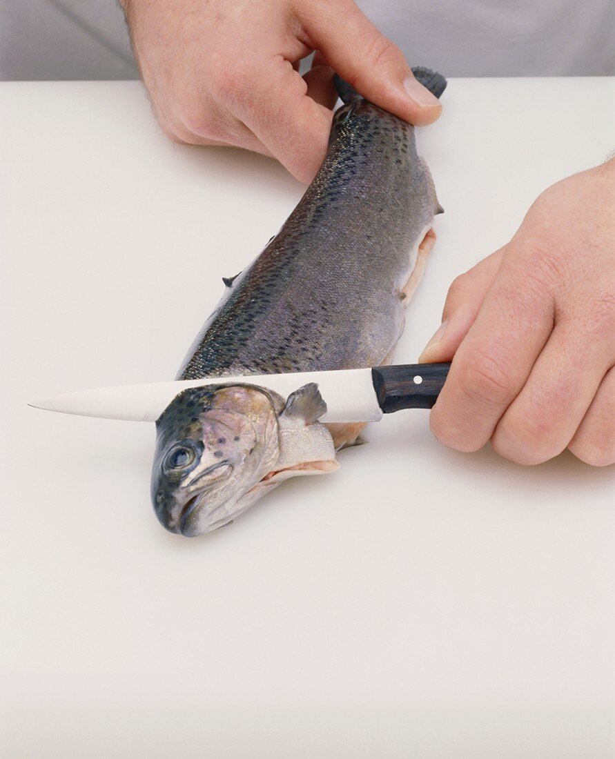 Kopf einer Forelle mit dem Messer abtrennen