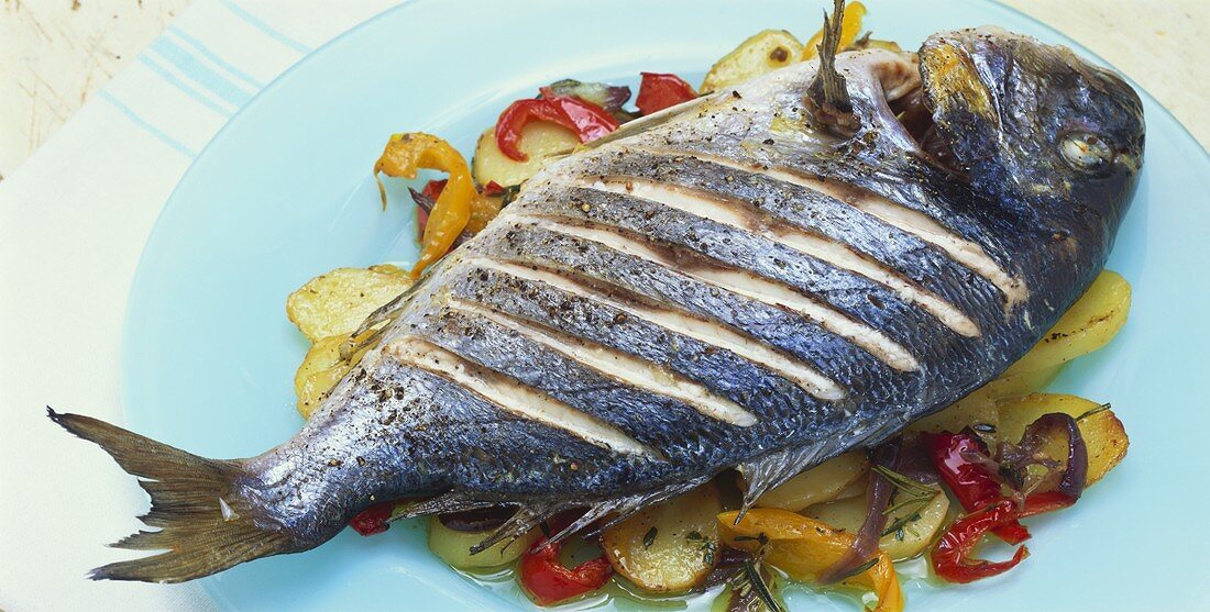 Gilthead seabream on peppers and potatoes