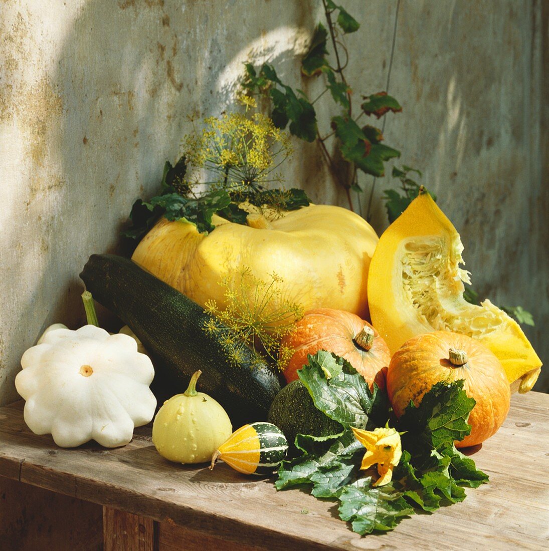 Squash and pumpkin still life