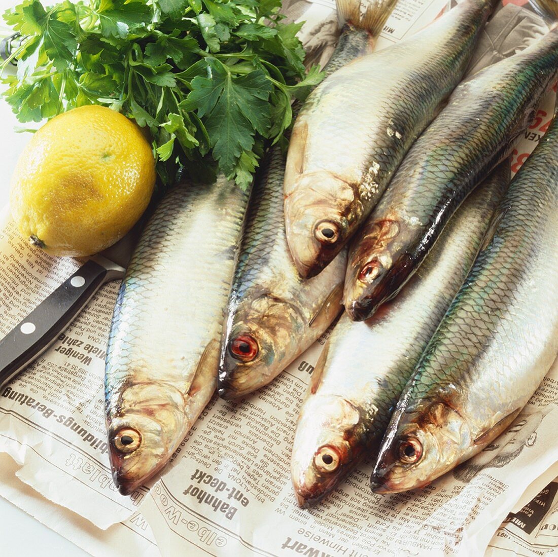 Fresh herrings, herbs and a lemon on newspaper