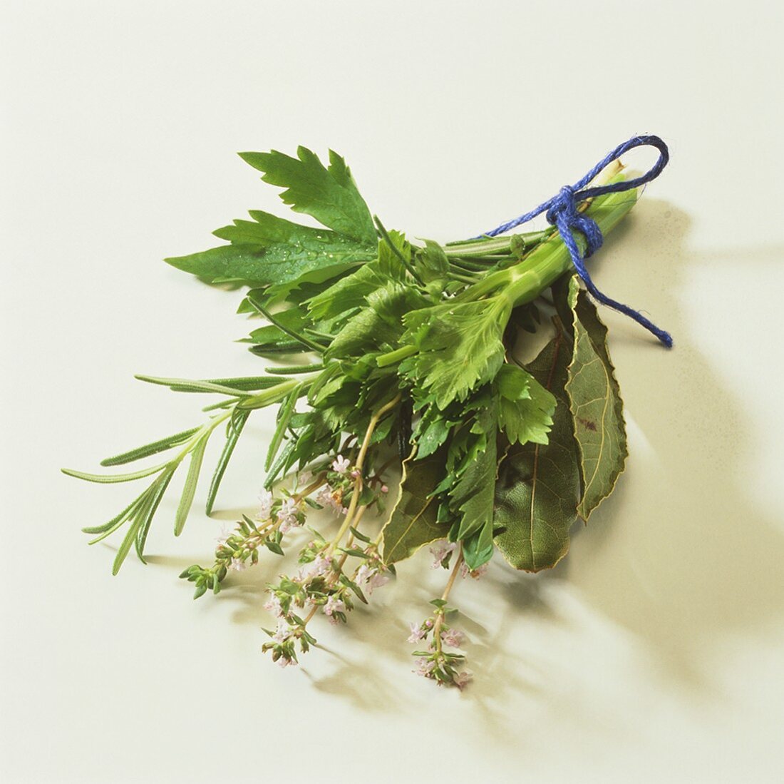 Kräutersträusschen (Bouquet garni)
