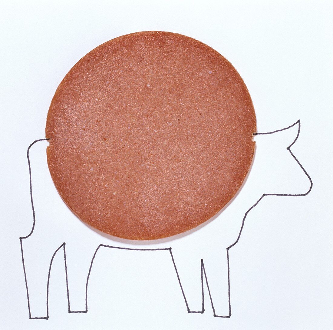 Eine Scheibe Rindersalami auf Zeichnung eines Rindes (Illustration)