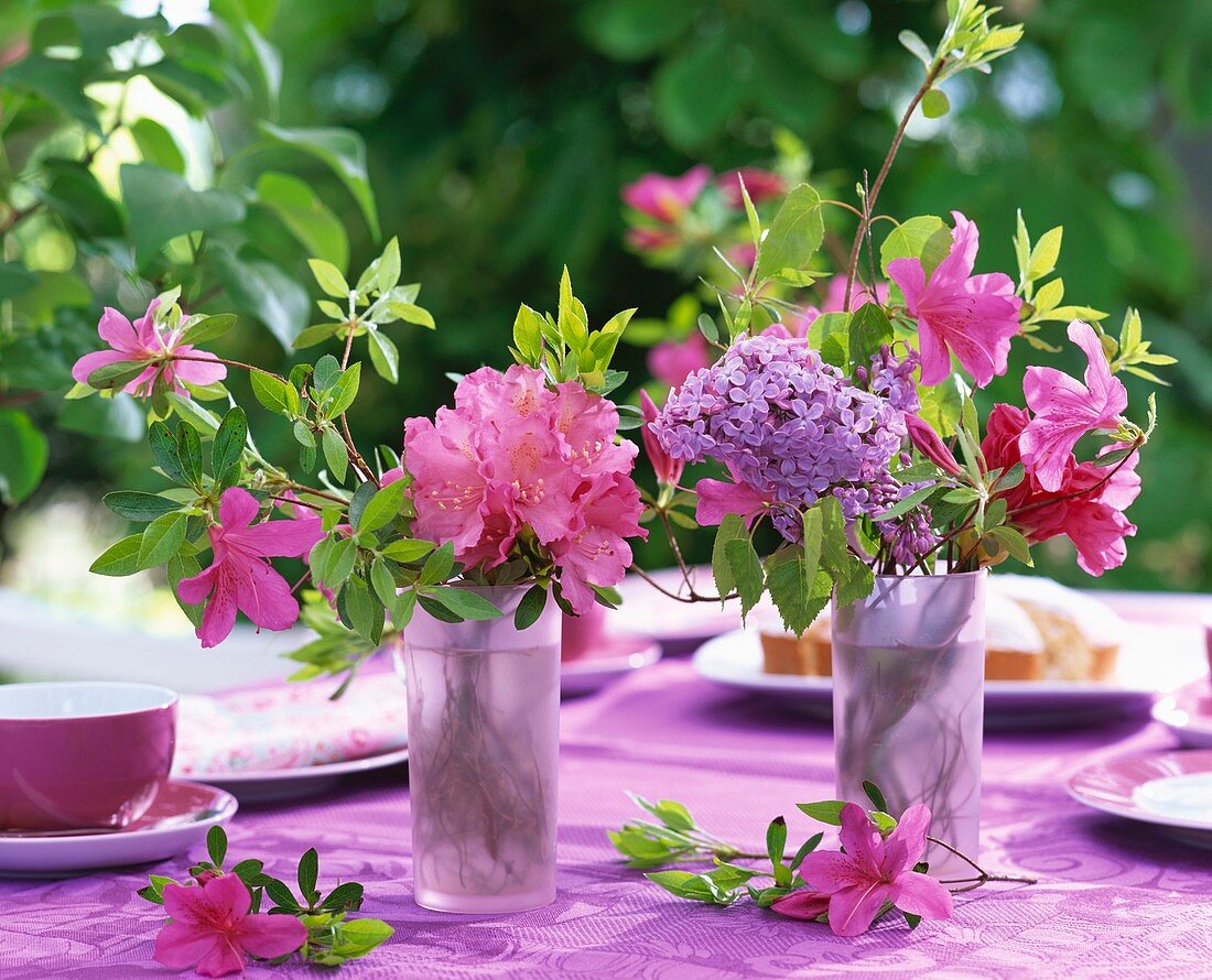 Rhododendrons, azaleas & lilac in glasses on table laid for coffee