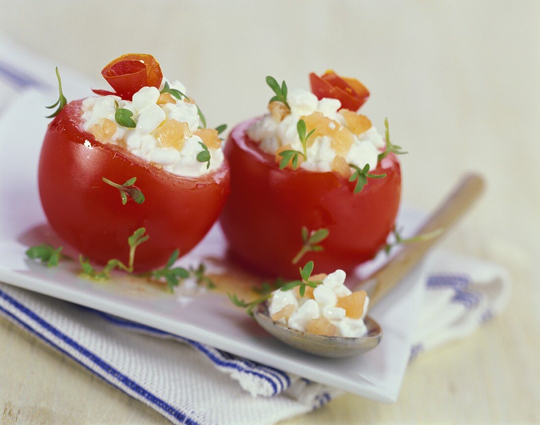 Tomaten mit Hüttenkäse und Räucherlachs gefüllt