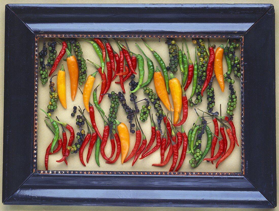 Chillies and bunches of peppercorns in frame