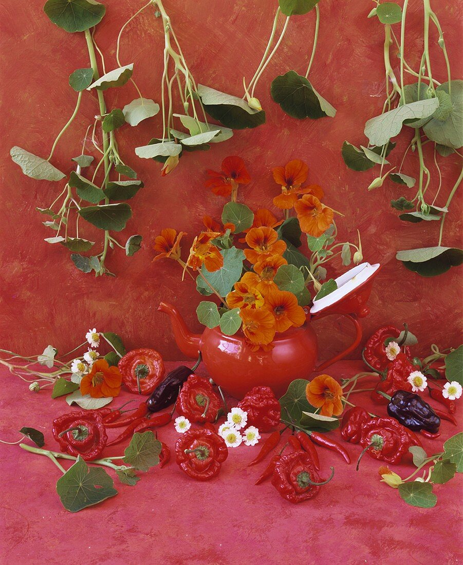 Still life with chillies and nasturtiums