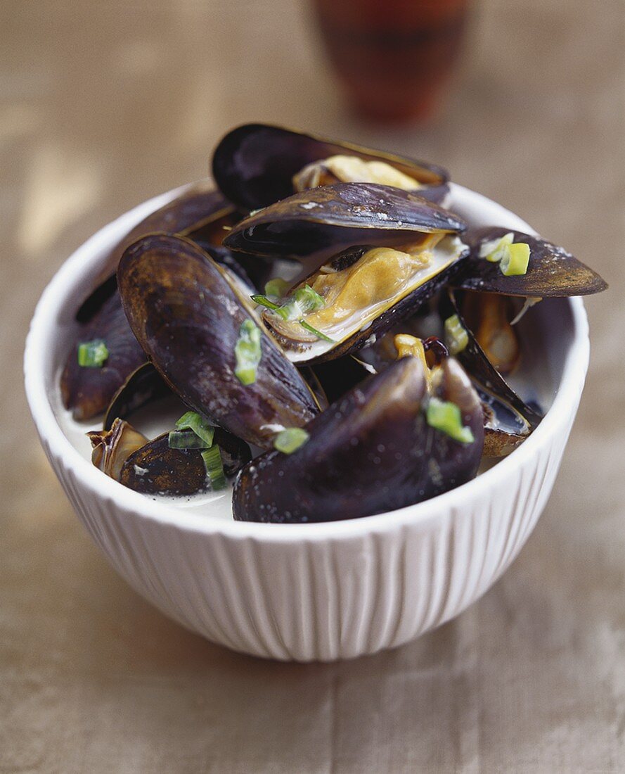 Mussels in coconut sauce