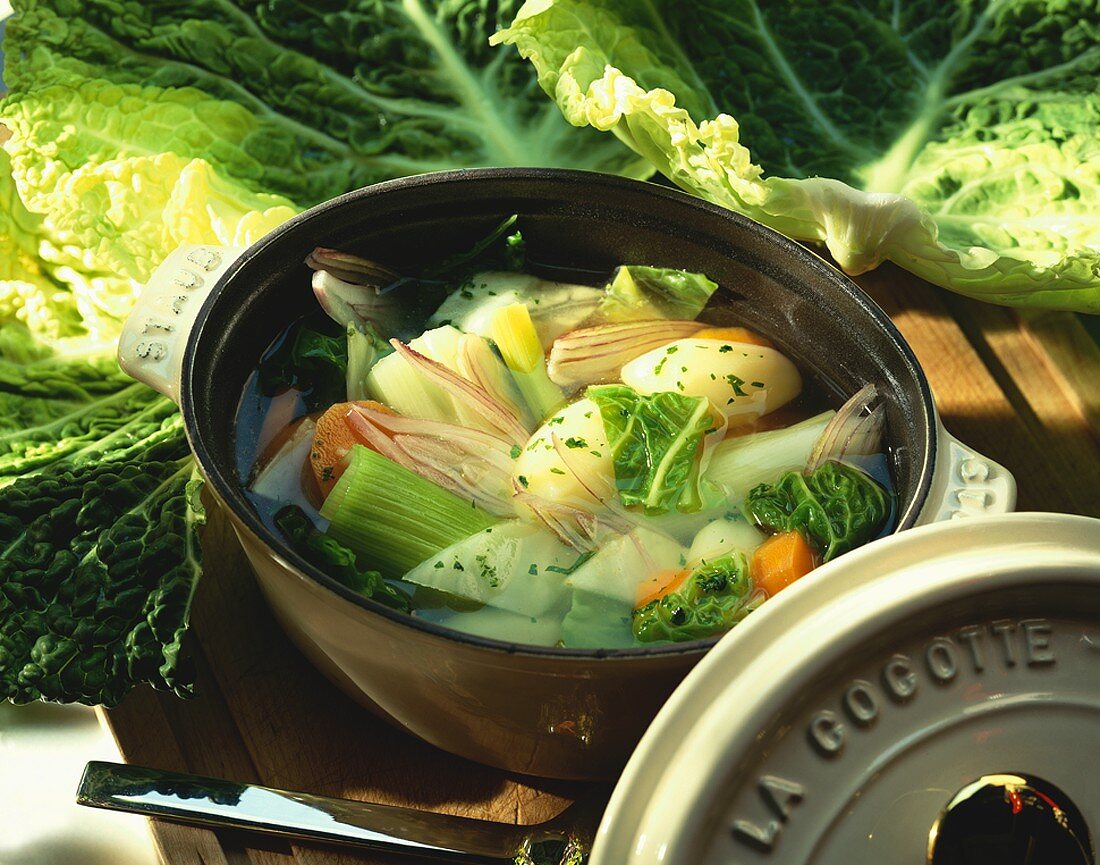 Vegetable soup