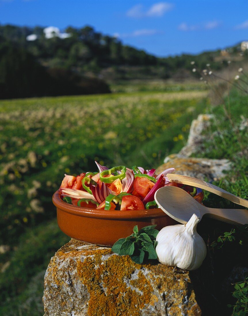Tomatensalat im Freien (Spanien)