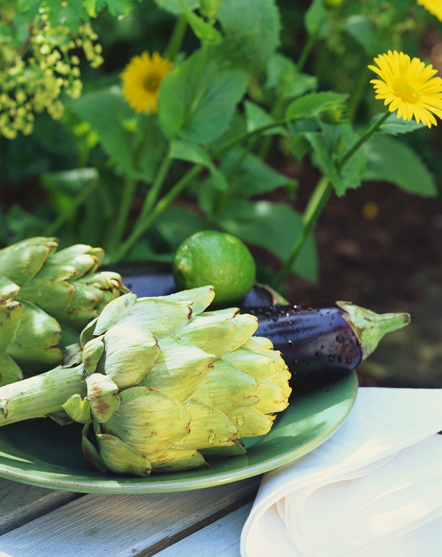 Still life with artichokes and aubergines (out of doors)